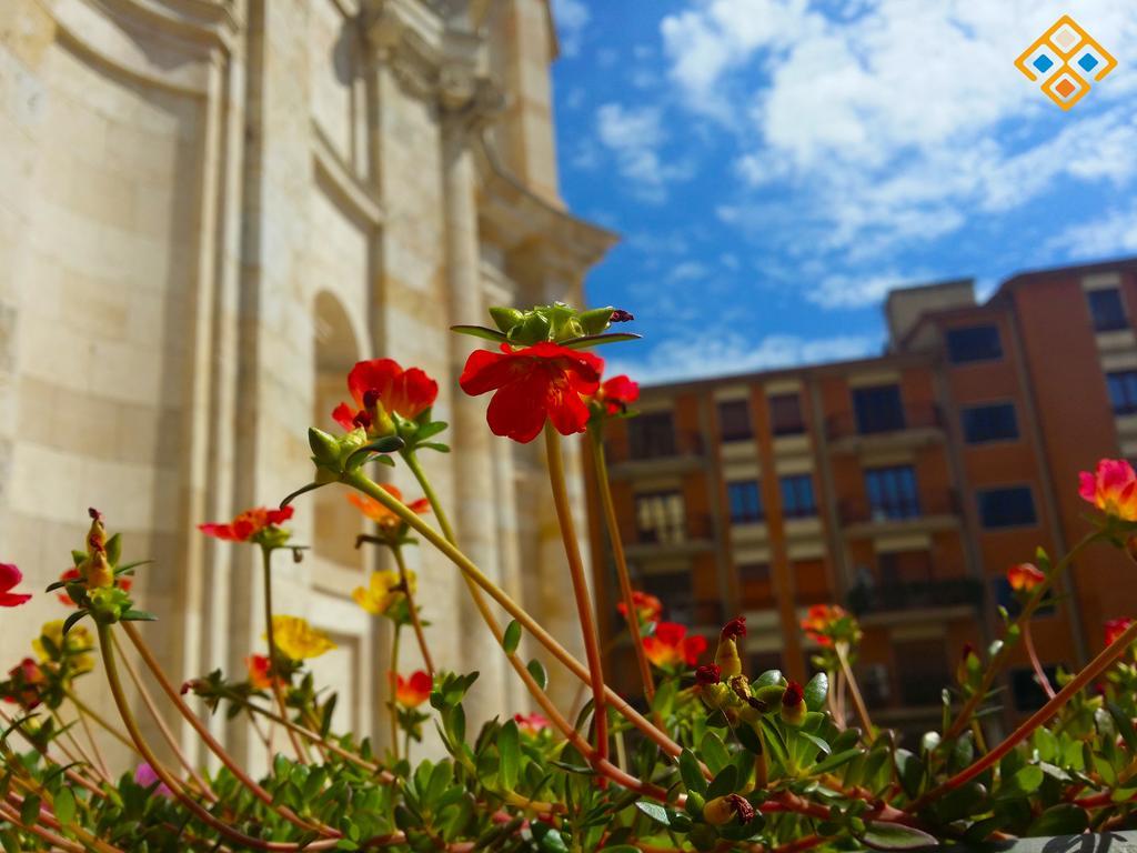 Sa Domu De Ajaja Apartments Cagliari Zewnętrze zdjęcie